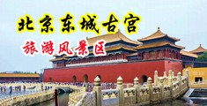 女优肥逼中国北京-东城古宫旅游风景区